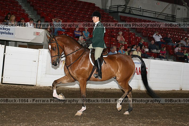 Proof 09buck-1064