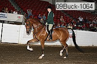 09buck-1064 proof