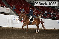 09buck-1066 proof