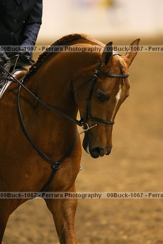 Proof 09buck-1067
