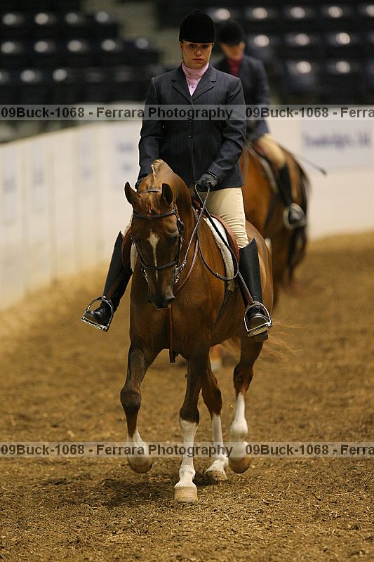 Proof 09buck-1068