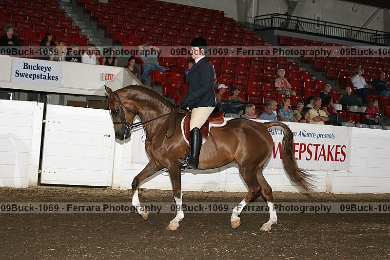 Proof 09buck-1069