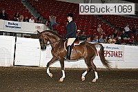 09buck-1069 proof