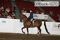 09buck-1070 proof