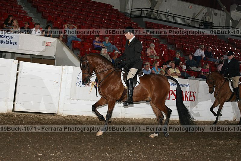 Proof 09buck-1071