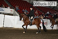 09buck-1071 proof