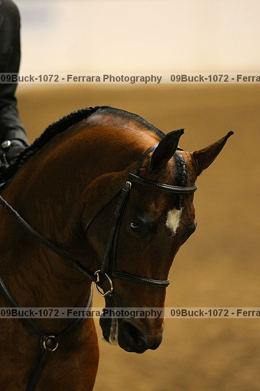 Proof 09buck-1072