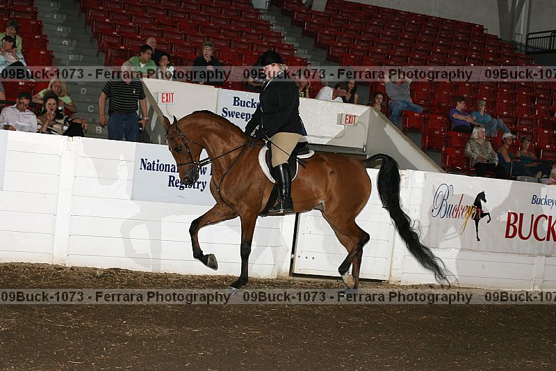 Proof 09buck-1073
