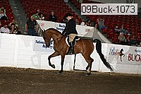 09buck-1073 proof