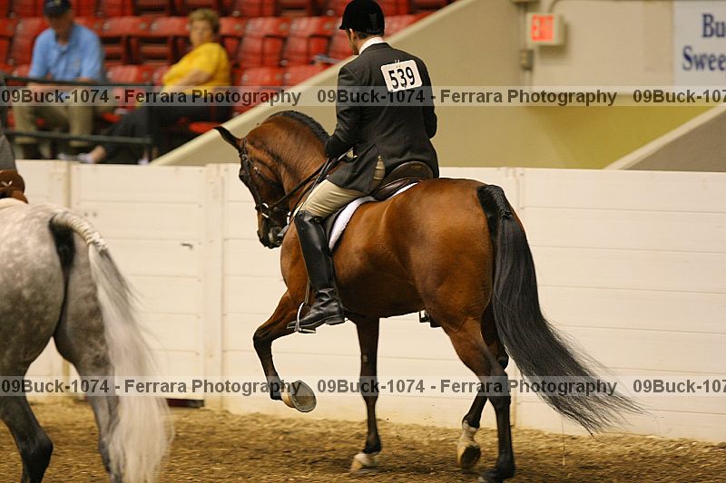 Proof 09buck-1074