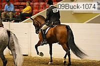 09buck-1074 proof