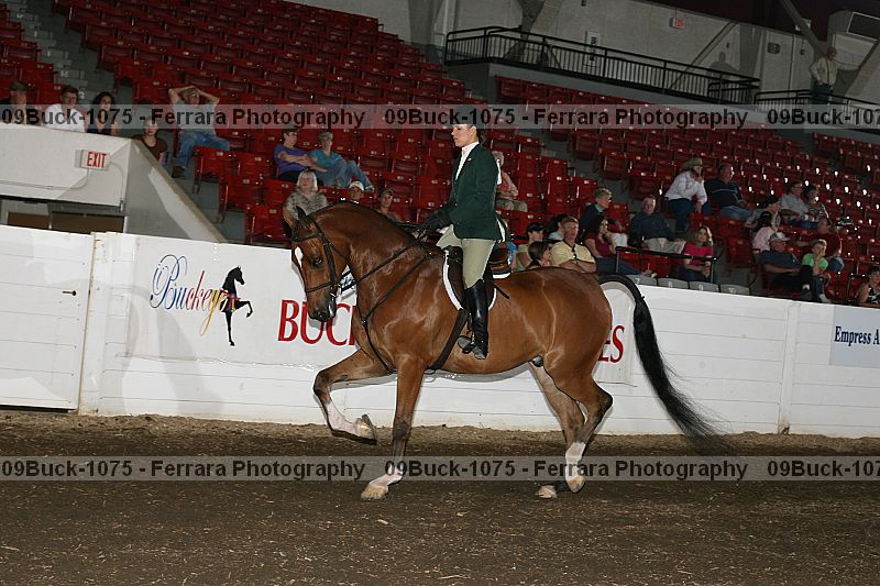Proof 09buck-1075