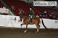 09buck-1075 proof