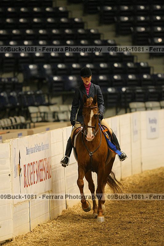 Proof 09buck-1081
