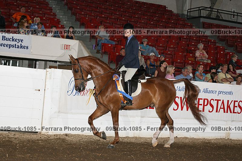 Proof 09buck-1085