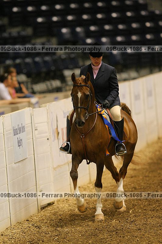 Proof 09buck-1086