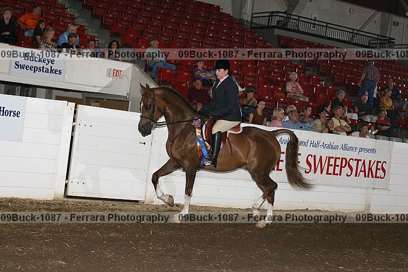 Proof 09buck-1087