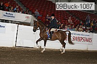 09buck-1087 proof