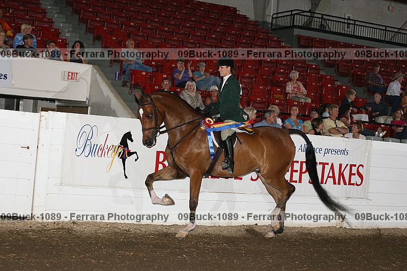 Proof 09buck-1089