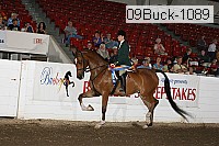09buck-1089 proof