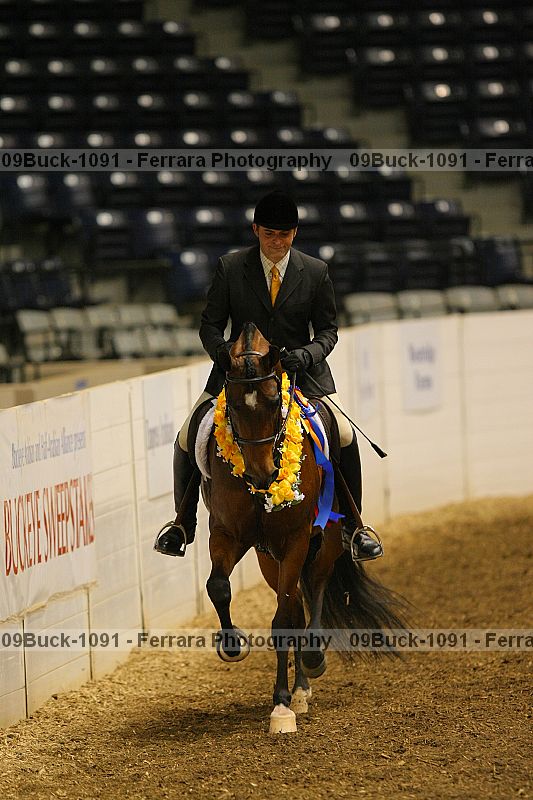 Proof 09buck-1091