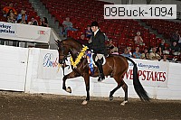 09buck-1094 proof