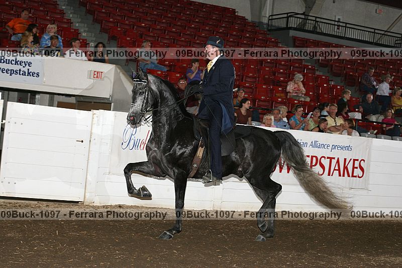Proof 09buck-1097