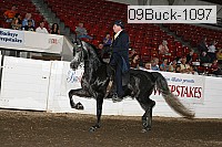 09buck-1097 proof