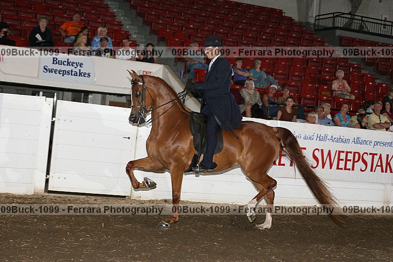 Proof 09buck-1099