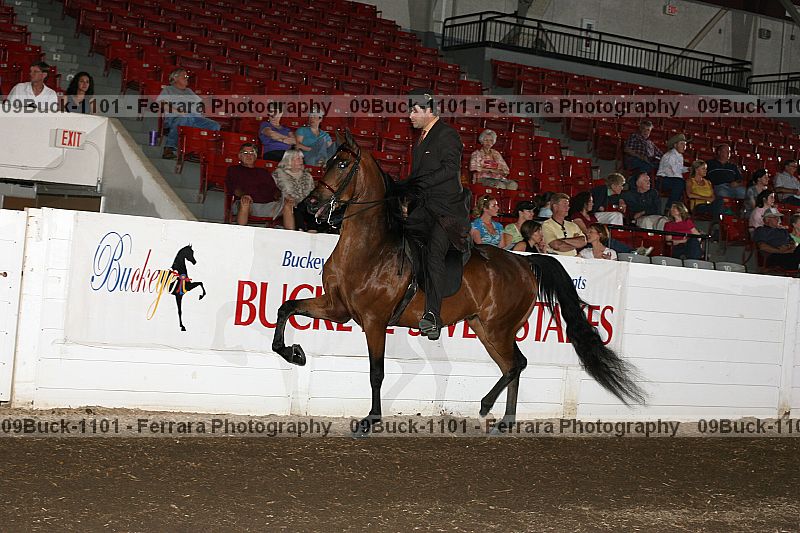 Proof 09buck-1101