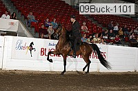 09buck-1101 proof