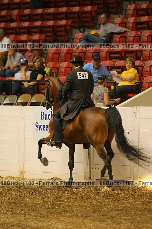 Proof 09buck-1102
