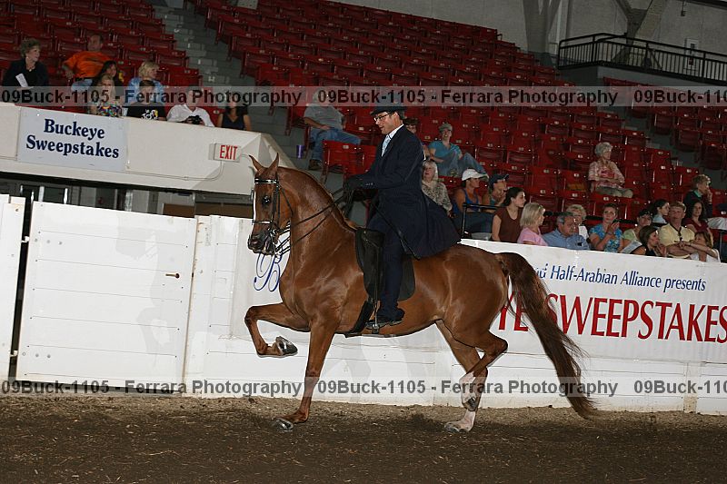 Proof 09buck-1105