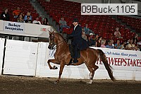 09buck-1105 proof