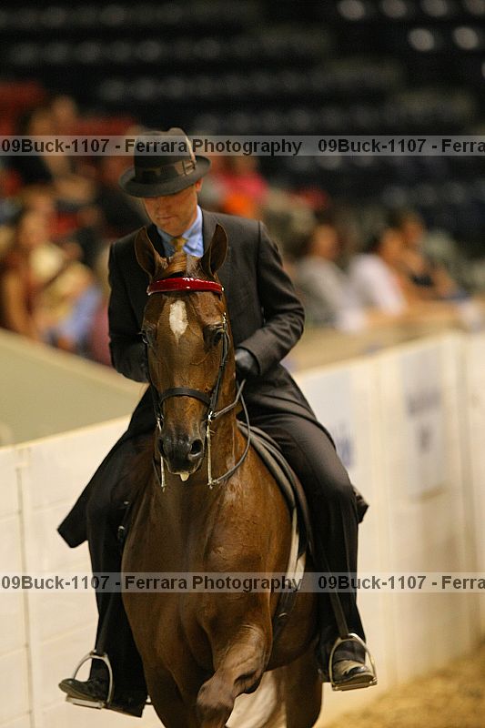 Proof 09buck-1107