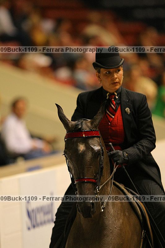 Proof 09buck-1109