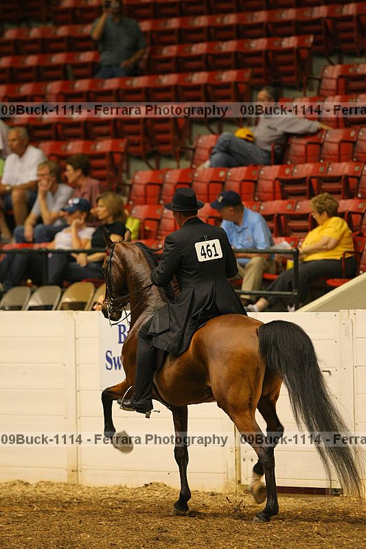Proof 09buck-1114