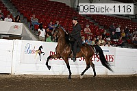 09buck-1116 proof