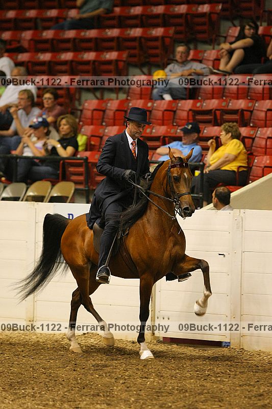 Proof 09buck-1122