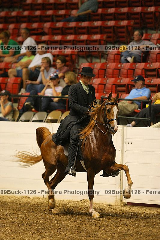 Proof 09buck-1126