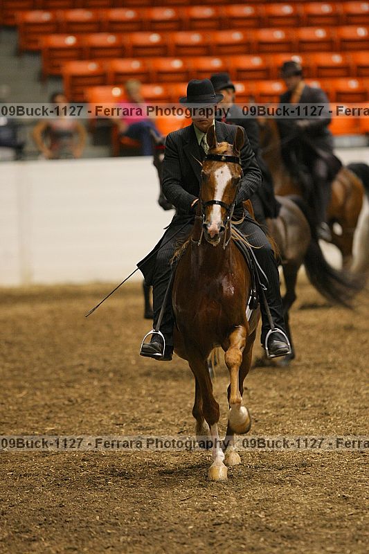 Proof 09buck-1127