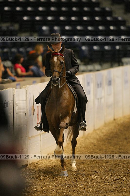 Proof 09buck-1129