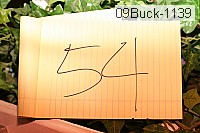 09buck-1139 proof