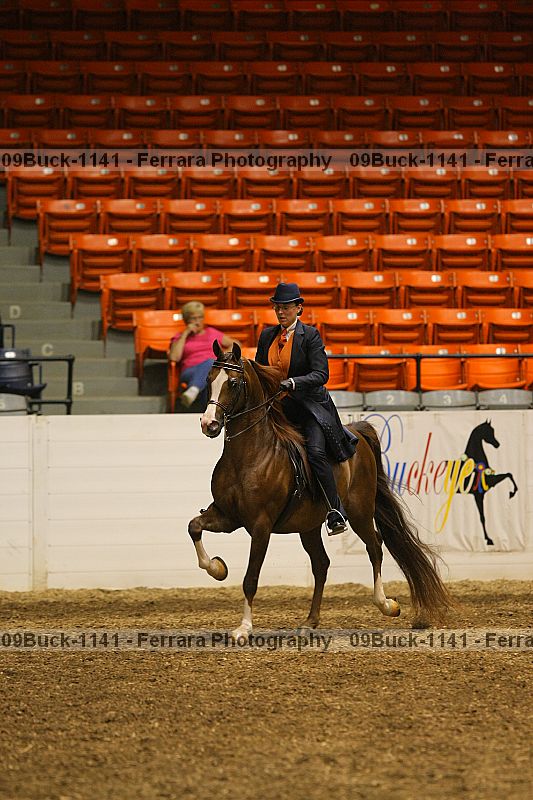 Proof 09buck-1141