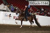 09buck-1144 proof