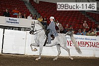 09buck-1146 proof