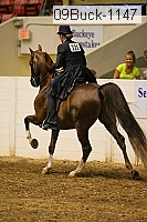 09buck-1147 proof