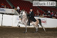 09buck-1149 proof