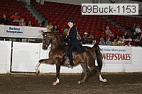 09buck-1153 proof