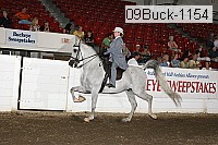09buck-1154 proof